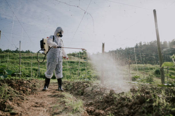 Best Pest Control Cost  in Yaphank, NY