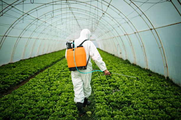 Best Pest Control Near Me  in Yaphank, NY
