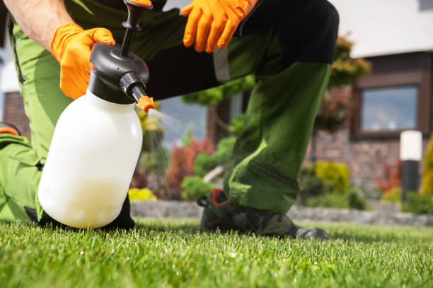 Best Pest Control for Restaurants  in Yaphank, NY