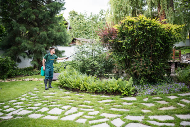 Best Wasp Removal Services  in Yaphank, NY
