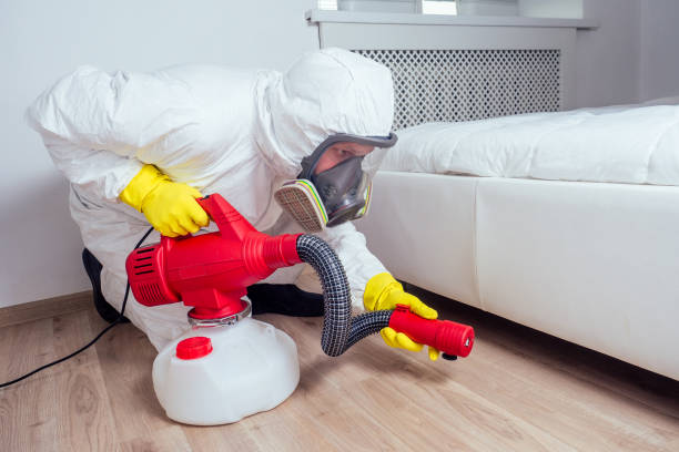 Best Best Pest Control Companies  in Yaphank, NY