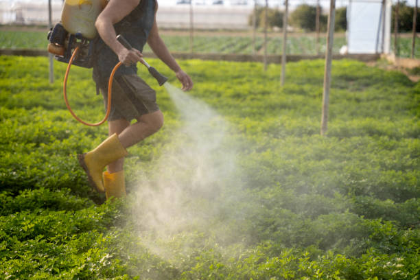 Pest Prevention Services in Yaphank, NY