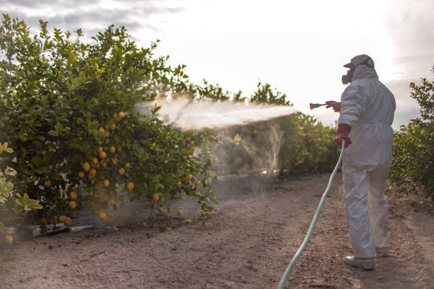 Best Residential Pest Control  in Yaphank, NY