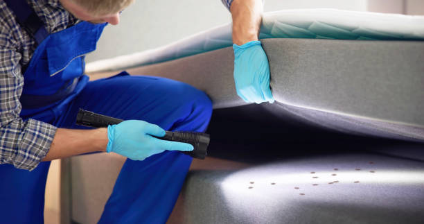 Best Termite Control Services  in Yaphank, NY