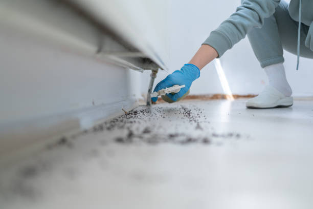 Best Best Pest Control Companies  in Yaphank, NY